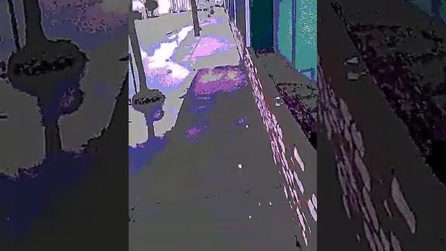 I caught a peeping tom weirdo looking in my bathroom window and the white man landlord stole my can смотреть онлайн