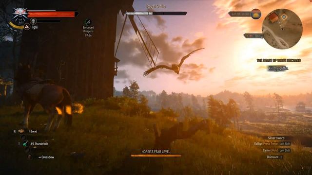 Witcher 3 - Royal Griffin on the Beast of White Orchard 4K смотреть онлайн