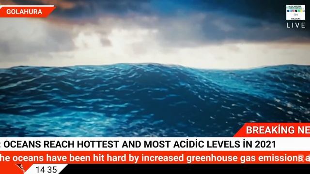 UN: Oceans reach hottest and most acidic levels in 2021 смотреть онлайн