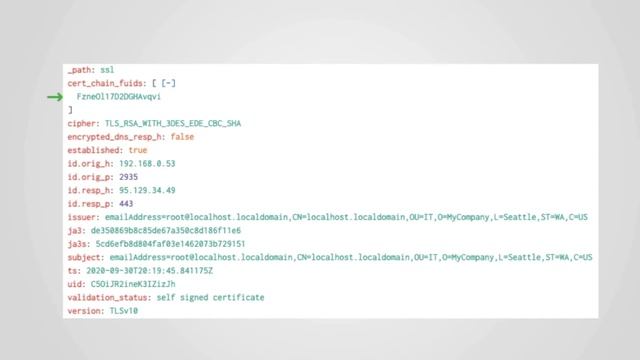 SSL log overview смотреть онлайн