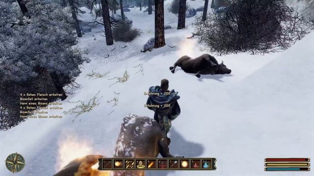 Let's Play Gothic 3 🔥141 - Trelis von den Orks befreien смотреть онлайн