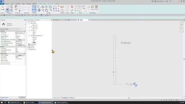 REVIT Triangular Parametric Window Family Tutorial