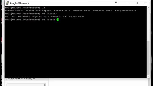 Bareos 16.2 - Client Windows e Alterando destino do Backup смотреть онлайн