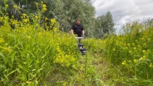 Для ГАЗОНА и не ТОЛЬКО!Косилка для высокой травы Caiman Pampa 60C #gardening #садоваятехника#триммер