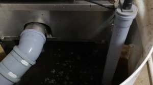 Мини УЗВ для маточного стада африканского сома