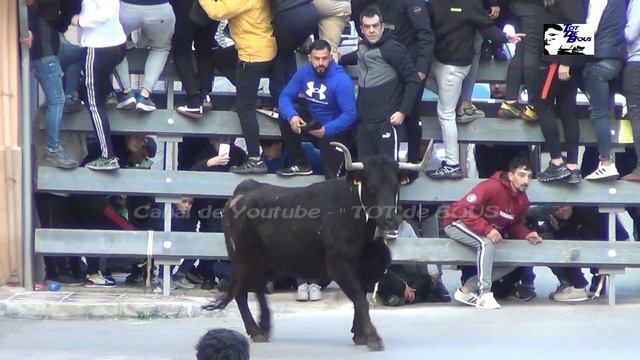 25/02/2023 - ALBUIXECH ( V ) - COMISIÓN SAN ANTONIO - GANADERIA EL SALERO - MONTSERRAT ( V ) смотреть онлайн