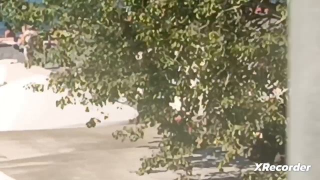 я в сочи смотреть онлайн