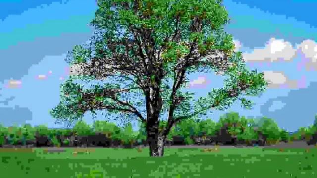 windows movie maker 2023 [meme] смотреть онлайн
