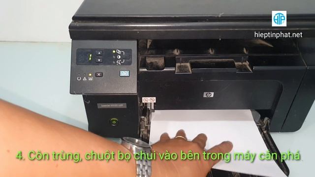 Máy in Laser để lâu không sử dụng thường bị lỗi gì? смотреть онлайн