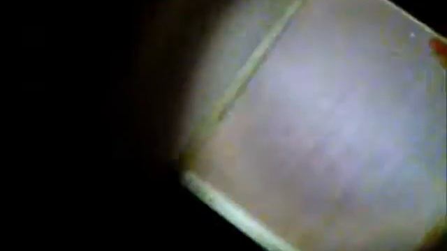 3D Maze RAT VIEW смотреть онлайн