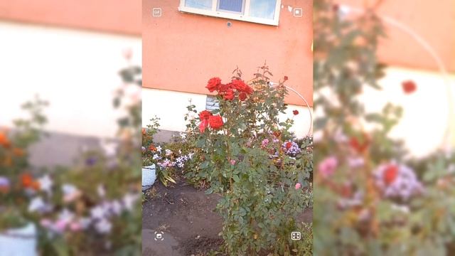 Я не забуду тебя.mp4 смотреть онлайн