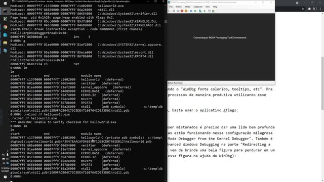 Como Fazer Debug de User Mode pelo Kernel Mode usando WinDbg смотреть онлайн