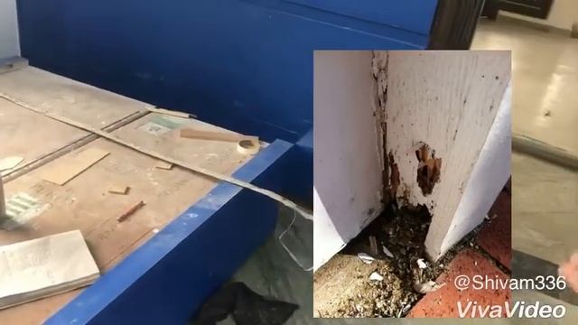 Termite solution of fix bed back смотреть онлайн