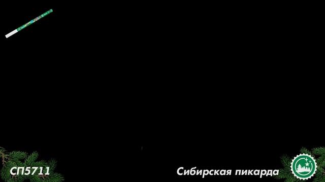 СП5711 смотреть онлайн