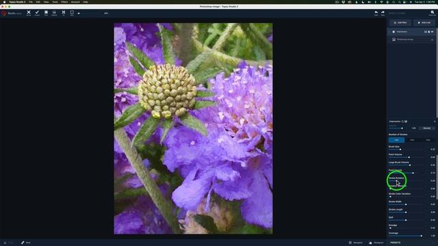 TOPAZ STUDIO 2 (CREATIVE TOOL BOX, Episode 66) Flower Art смотреть онлайн