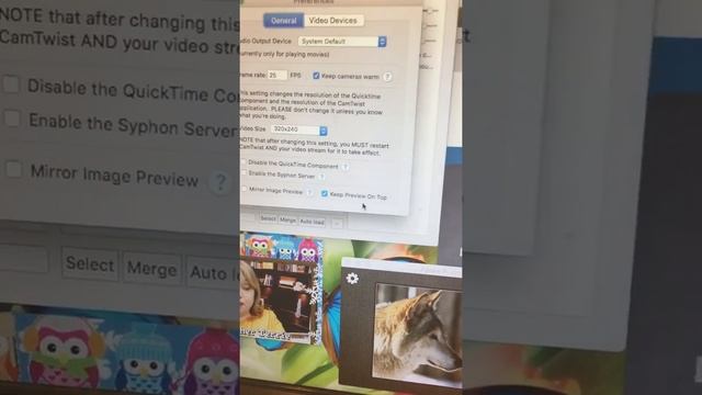 VIPKID CamTwist - Managing Windows (Mac Only) смотреть онлайн