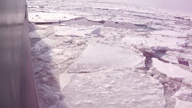 На курилы смотреть онлайн