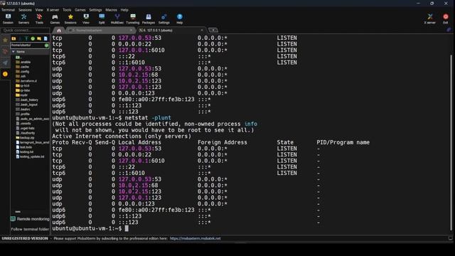 Unlocking: netstat | Become a Linux Pro: Part-23 | Master the Command Line смотреть онлайн