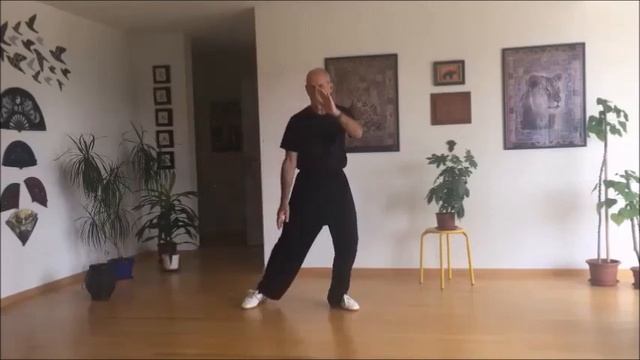 Learn Tai Chi Ch'uan At Home - 8 Form Yang Style