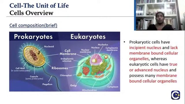 Cell-The Unit of Life-Session-1 смотреть онлайн