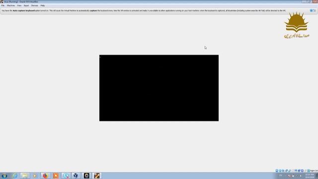 DSpace Installation via VirtualBox смотреть онлайн