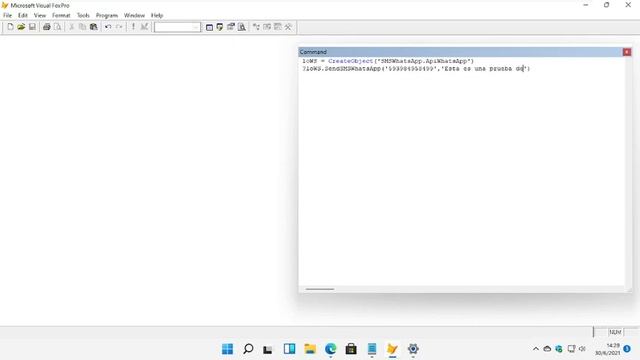 VFP + SMSWhatsApp en Windows 11 Pro x64 смотреть онлайн