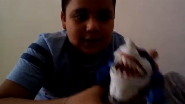 Los stretts shark de Emi y Mate смотреть онлайн