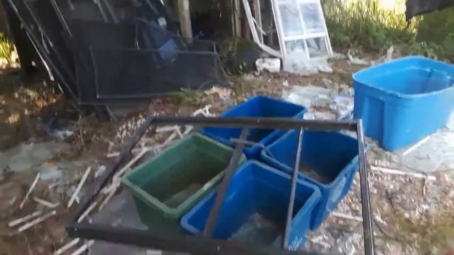 Dirty Aluminum Windows Scrap Run #scrap #WWWP смотреть онлайн
