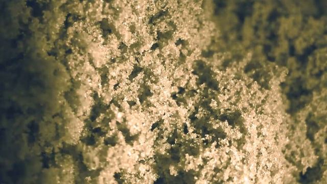 Jean Nine - Black Window смотреть онлайн