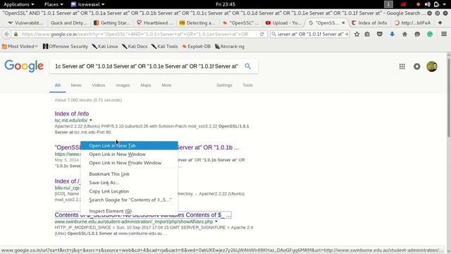Finding openssl Hearbleed vulnerability servers with dorks смотреть онлайн