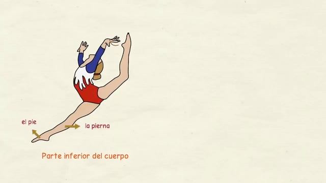 Aprender español_ Partes del cuerpo humano - español de América 👃👄 (nivel básico) смотреть онлайн