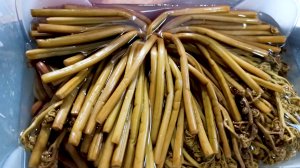 Папоротник