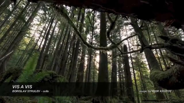 VIS A VIS - BORISLAV STRULEV - Cello, Music By IGOR KRUTOY