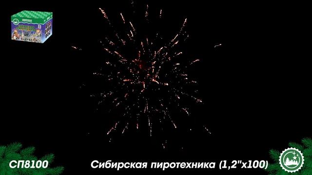 СП8100 смотреть онлайн