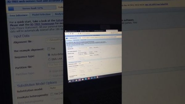 IQ TREE Tutorial