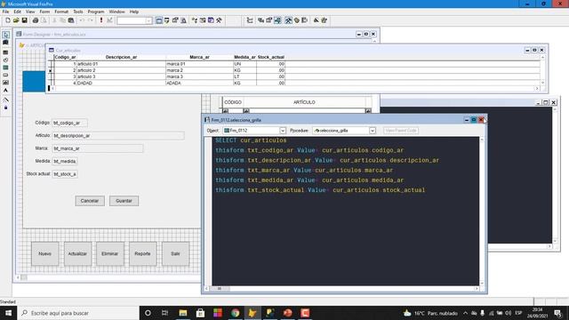 09 - Selección datos en Módulo artículo - Flujo Stock Artículos | VISUAL FOXPRO смотреть онлайн