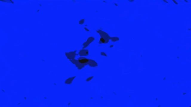 Klasky Csupo Windows Movie Maker 2.0 Effects in Swist Major смотреть онлайн