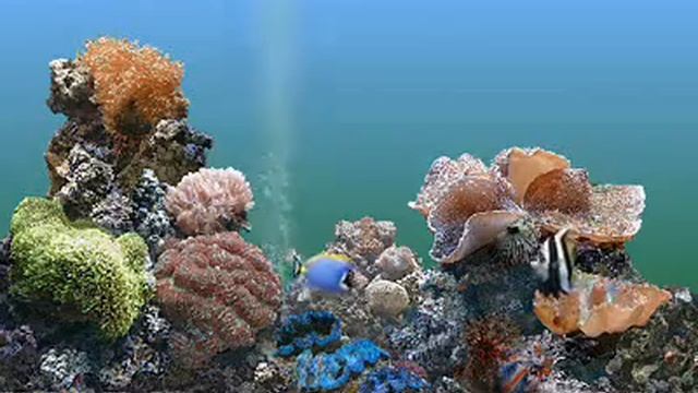 Microsoft Plus! XP fish screensaver смотреть онлайн