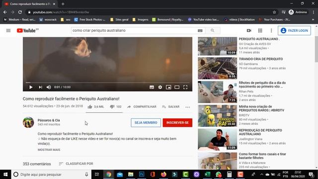 Canais de Nichos e Micronichos no Youtube - Veja Como é Fácil Achar Assuntos Com Milhares de Buscas смотреть онлайн