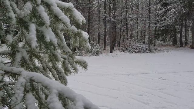 Van Life : How to Stay Warm While Living in a Van WITHOUT a Mr. Buddy Heater смотреть онлайн