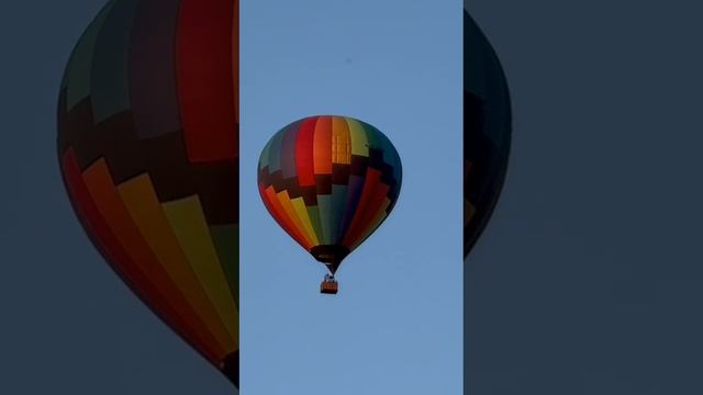 VID_20240729_082633_975.mp4