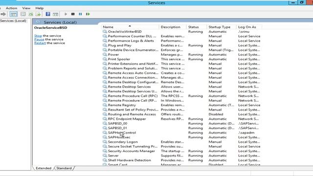 Check the Services of SAP смотреть онлайн