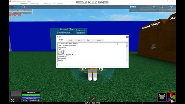 NEW EXPLOIT - SKIDALS V2 (WORKING!) LUA EXECUTOR w/ NEW COMMANDS, SCRIPT-PACK, & MORE! смотреть онлайн