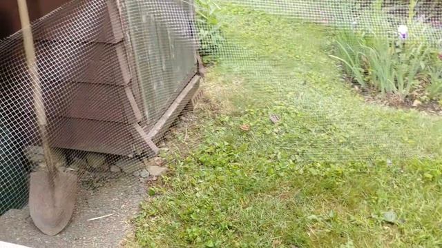 Robertson Ingenuity (cor. feet not yards) смотреть онлайн