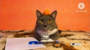 Вырезанный Фрагмент Из Котинет (02.08.2024)