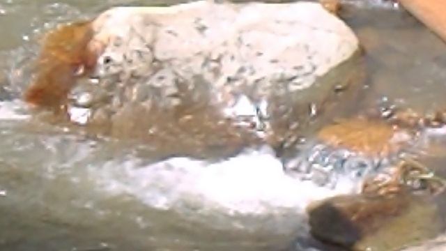 DSCN7020ДОЛИНА НАРЗАНОВ 2023