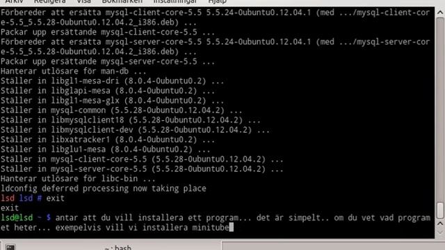 Installera / Tabort program samt hur man upgraderar linux via terminalen смотреть онлайн