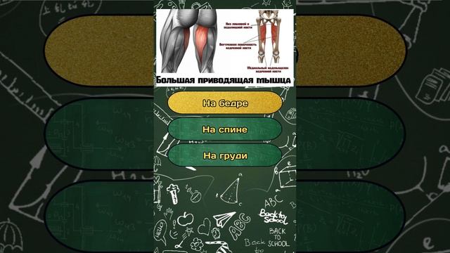 Короткая викторина по теме "Школьная программа" №68 / Тест на эрудицию #викторина #квиз #эрудиция смотреть онлайн