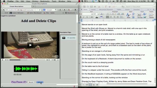 YouDescribe - How to create video descriptions! смотреть онлайн