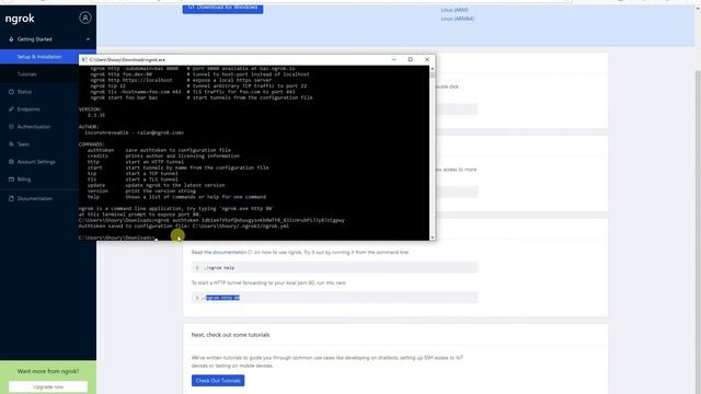 Access Localhost with domain | NGROK смотреть онлайн